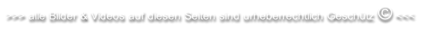 >>> alle Bilder & Videos auf diesen Seiten sind urheberrechtlich Geschütz © <<<